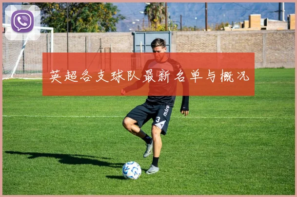英超各支球队最新名单与概况